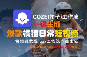 COZE(扣子)工作流一键生成爆款橘猫日常短视频,保姆级教程,零基础快速入门-金融资料分享