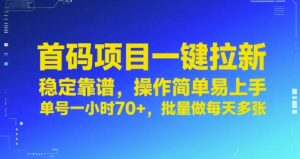 首码项目一键拉新,稳定靠谱,操作简单易上手,单号一小时70+,批量做每天多张【揭秘】-金融资料分享