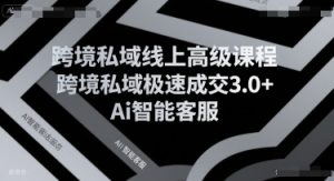跨境私域线上高级课程，跨境私域极速成交3.0+Ai智能客服-金融资料分享