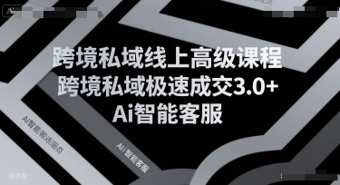跨境私域线上高级课程,跨境私域极速成交3.0+Ai智能客服-金融资料分享