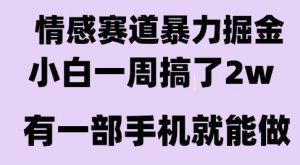 情感暴力掘金项目，新人操作一周挣了2W，长期稳定小白可做【揭秘】-金融资料分享