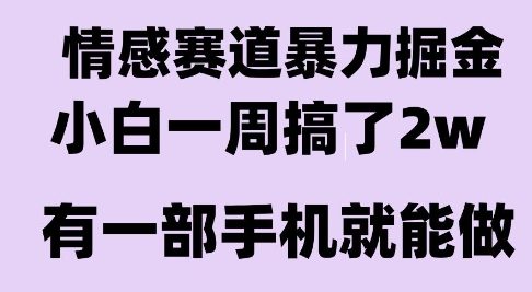 情感暴力掘金项目，新人操作一周挣了2W，长期稳定小白可做【揭秘】-金融资料分享