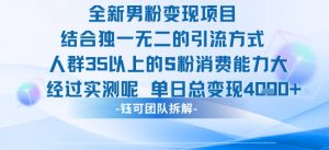 全新男粉变现项目引流人群35以上的男粉消费能力大 经过实测单日变现1k+-金融资料分享