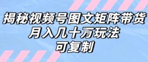解密视频号图文矩阵带货，月入几个W的打法，可复制-金融资料分享