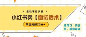 小红书虚拟项目掘金,卖面试话术资料,单店纯利20W+(附爆款笔记制作方法)-金融资料分享