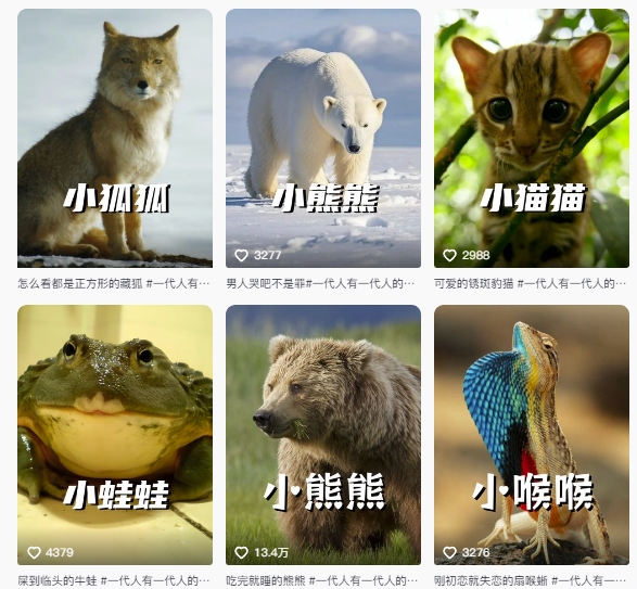 最新搞笑动物百科详细解说课程，蓝海赛道，流量非常大，轻松签独家进精选-金融资料分享