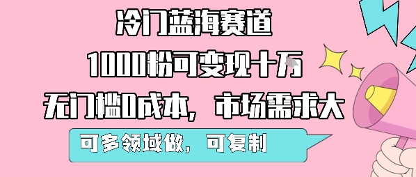 冷门蓝海赛道,1000粉可变现十W,无门槛0成本,市场需求大,可多领域做,可复制性强-金融资料分享