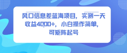 风口信息差蓝海项目，实测一天收益4k+，小白操作简单，可矩阵起号-金融资料分享