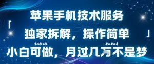 苹果手机技术服务，独家拆解，操作简单，小白可做，月过1W不是梦-金融资料分享