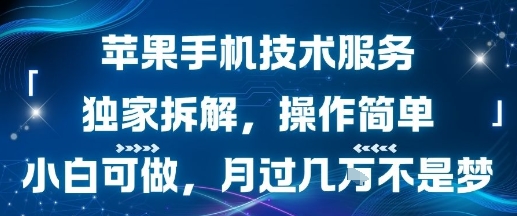 苹果手机技术服务，独家拆解，操作简单，小白可做，月过1W不是梦-金融资料分享