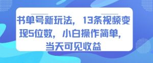 书单号新玩法，13条视频变现5位数，小白操作简单，当天可见收益-金融资料分享