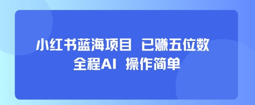 小红书蓝海项目，全程AI，操作简单，已挣五位数-金融资料分享