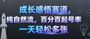 成长感悟赛道，纯自然流，百分百起号率 一天轻松多张-金融资料分享