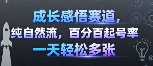 成长感悟赛道，纯自然流，百分百起号率 一天轻松多张-金融资料分享