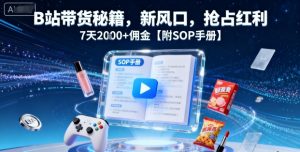 B站带货秘籍,新风口,抢占红利,7天2k+佣金【附SOP手册】-金融资料分享
