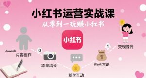 小红书运营实战课,从零到一玩賺小红书-金融资料分享