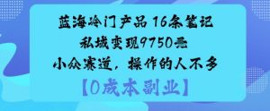 蓝海冷门产品：16条笔记私域变现9750米小众赛道，操作的人不多-金融资料分享