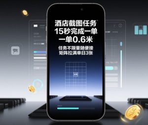 酒店截图任务，15秒完成一单，一单0.6米，任务不限量随便接，矩阵拉满单日3张【揭秘】-金融资料分享