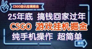 25年底搞钱回家过年,CSGO游戏挂G掘金,纯手机操作超简单【揭秘】-金融资料分享