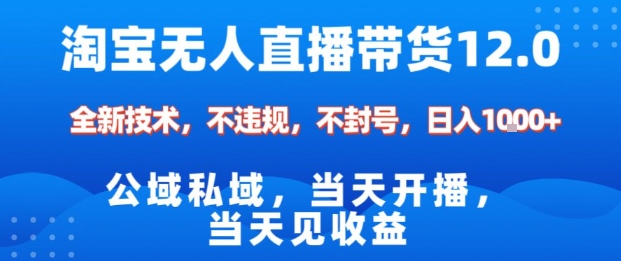 淘宝无人直播12.0,公域私域技术,不封号,不违规布局双十一流量风口,日入1k(独家技术)【揭秘】-金融资料分享