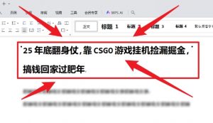 25年底翻身仗,靠CSGO游戏挂G捡漏掘金,搞钱回家过肥年【揭秘】-金融资料分享