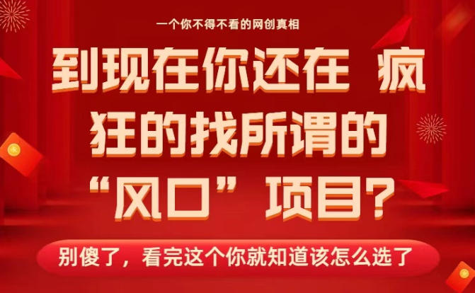 马上26年了，你还在找所谓的风口项目？别傻了，看完这个你全都懂了！【揭秘】-金融资料分享