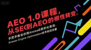 AEO 1.0 课程,从SEO到AE0的基命性转变,手把手教会你用AnswerEngineOptimization技术抢回流量(更新)-金融资料分享