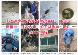 抖音某大V万物科普解说课程，可进抖音精选，独家内容，超干货教学，助你涨粉又賺钱-金融资料分享