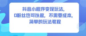 抖音小程序变现玩法，0粉丝也可以做，不需要成本，简单的玩法教程-金融资料分享