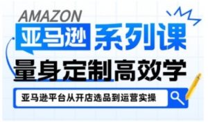 亚马逊新手开店从入门到精通,全面覆盖亚马逊开店各阶段要点,助新手从入门到精通-金融资料分享