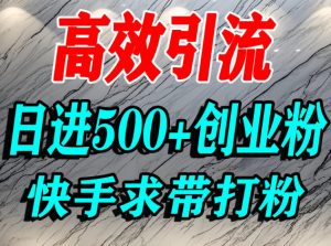 怎么打创业粉？快手求带视角精准引流创业粉，宝妈、学生群体日进500+精准流量-金融资料分享