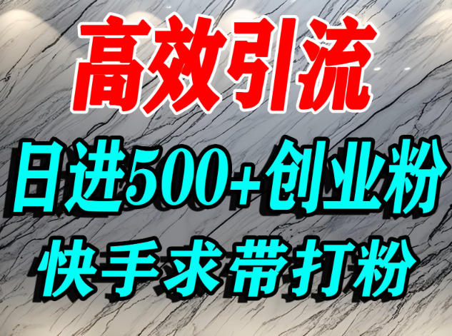 怎么打创业粉？快手求带视角精准引流创业粉，宝妈、学生群体日进500+精准流量-金融资料分享