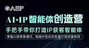 AI·IP智能体创造营，手把手带你打造IP获客智能体，高成交创始人IP课-金融资料分享