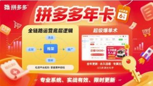 拼多多年卡，拼多多全链路运营底层逻辑，超级爆单术【更新10月】-金融资料分享