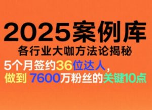 2025案例库，收录各行业大咖的方法论，各行业大咖方法论揭秘-金融资料分享