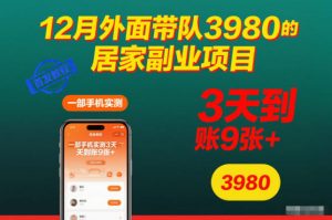 12月外面带队3980的居家副业项目，一部手机实测3天到账9张+，首发教程【揭秘】-金融资料分享