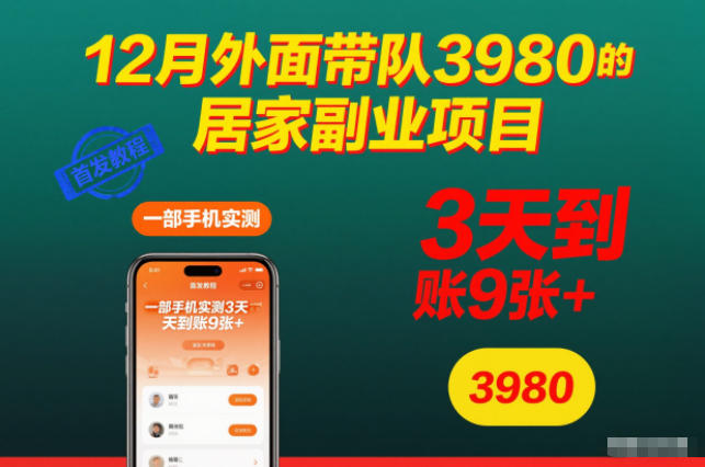 12月外面带队3980的居家副业项目，一部手机实测3天到账9张+，首发教程【揭秘】-金融资料分享