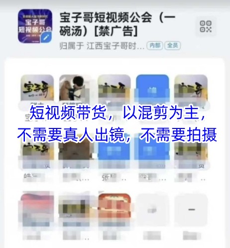 宝子哥头部团队短视频带货，以混剪为主，不需要真人出镜，不需要拍摄【更新11月】-金融资料分享