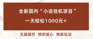 全新国内小说挂G项目，多窗口无脑跑，一天轻松1k+，特别省心【揭秘】-金融资料分享