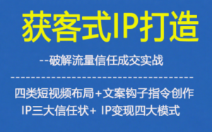 获客型IP打造，破解流量信任成，四类短视频布局+文案钩子指令创作IP三大信任状+IP变现四大模式-金融资料分享