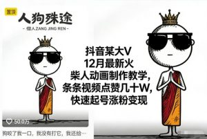 抖音某大V12月最新火柴人动画制作教学,条条视频点赞几十W,快速起号涨粉变现-金融资料分享