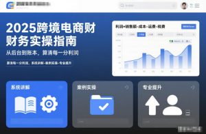 2025跨境电商财务实操指南，从后台到账本，算清每一分利润，系统讲解-案例实操-专业提升-金融资料分享