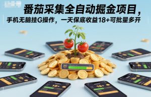 番茄采集全自动掘金项目，手机无脑挂G操作，一天保底收益18+可批量多开【揭秘】-金融资料分享
