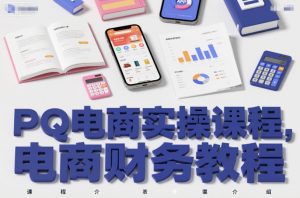 PQ电商实操课程,电商财务教程-金融资料分享