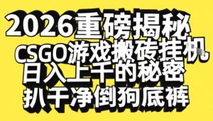 2026开年重磅解密，CSGO游戏搬砖挂G日入1k+的秘密，把倒狗的底裤扒干【揭秘】-金融资料分享