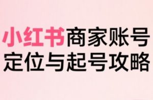 小红书电商全链路实战从定位到爆单，系统拆解小红书商家起号全流程（更新）-金融资料分享