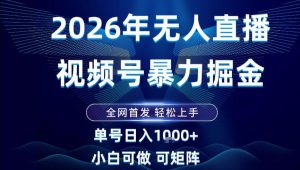 2026最新视频号无人直播掘金,全网首发,小白可以玩,长期稳定日入1k+【揭秘】-金融资料分享