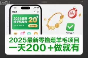 2025最新零撸薅羊毛项目，纯手机操作，20秒一单，无任何门槛，一天200+做就有【揭秘】-金融资料分享