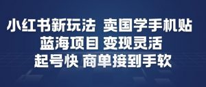 小红书新玩法，卖国学手机贴，蓝海项目，变现灵活，起号快，商单接到手软-金融资料分享