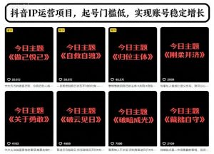 抖音IP运营项目,抖音今日主题玩法,起号门槛低,实现账号稳定增长-金融资料分享